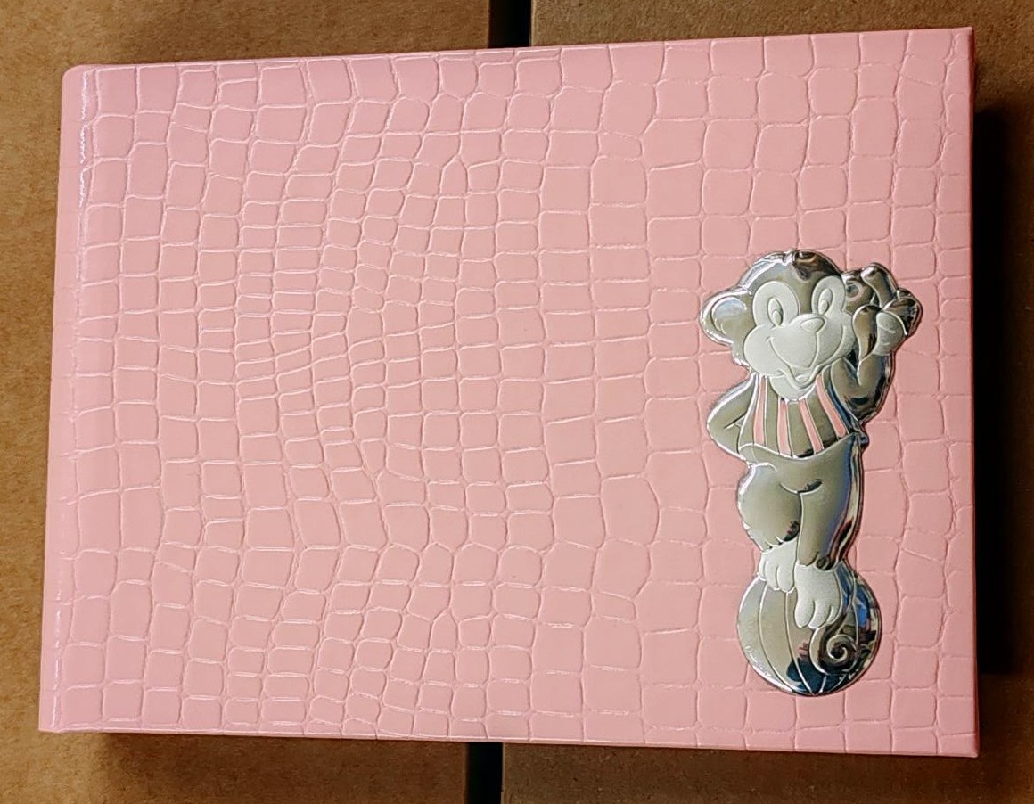 Album in ecopelle e argento rosa